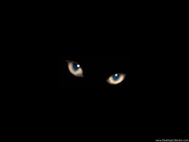 File:Eyes.jpg