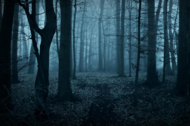 File:Slender In Woods.png