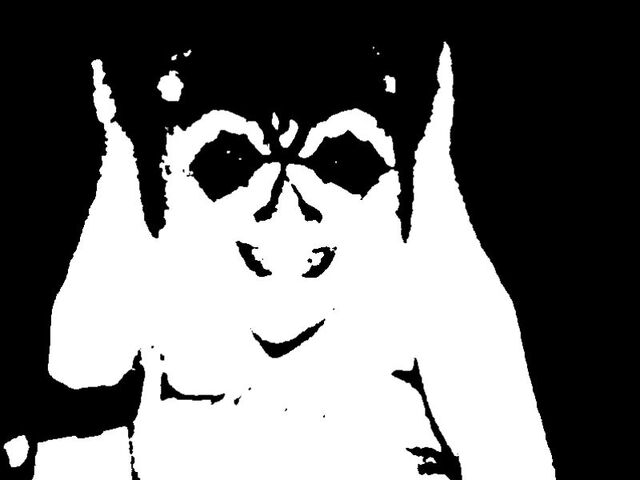 File:Webcam-toy-photo9.jpg