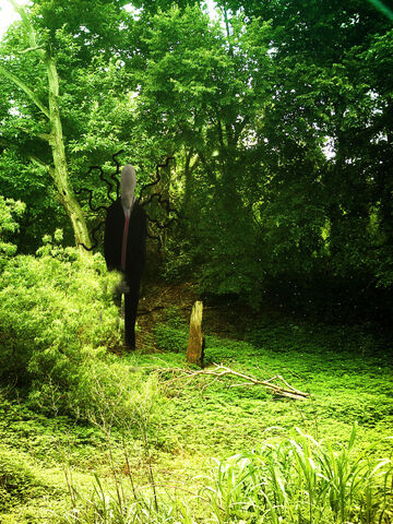 File:Slender.jpg