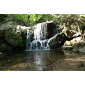 Thumbnail for version as of 22:50, November 19, 2013