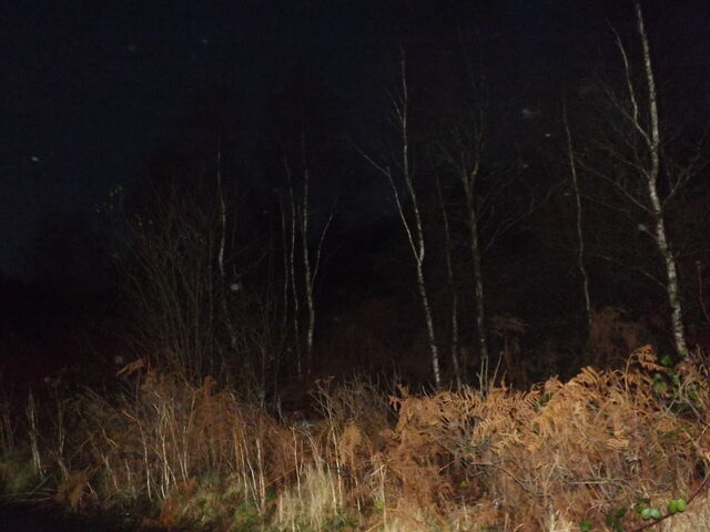 File:DSCF1578.jpg