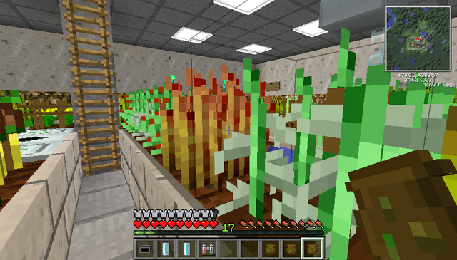 File:Red wheat.png