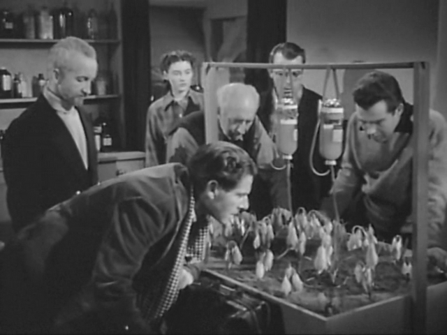 File:The Thing's seed pods - The Thing (1951).png
