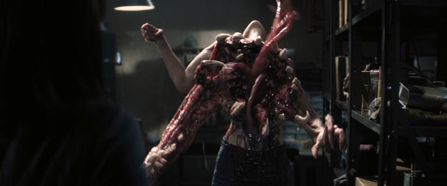 File:Vlcsnap-2011-12-30-07h03m01s165.png