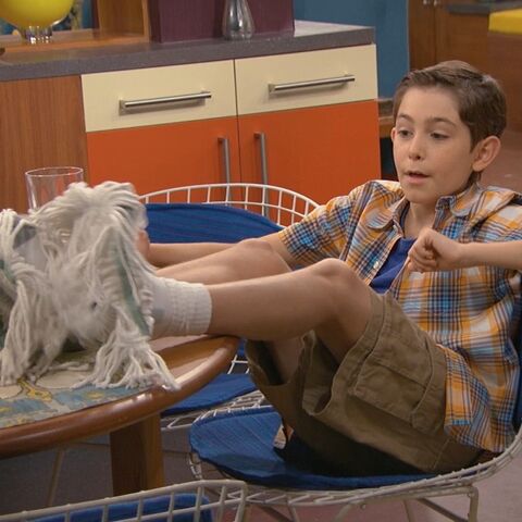 File:Billyandhismopsocks.jpg