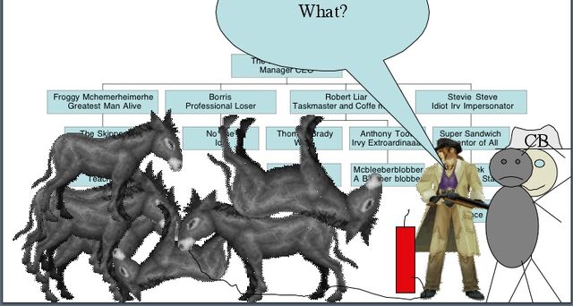 File:Donkeys.jpg