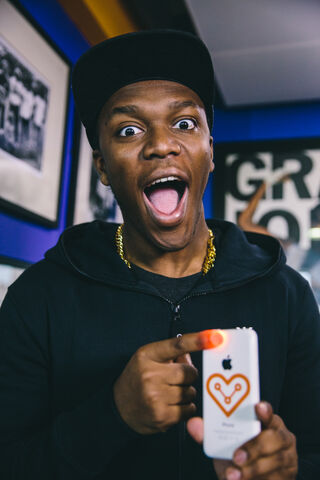 File:Beastksi.jpg