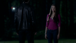 Elena e Damon 2.png