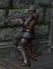 1056189-boletariasoldier large