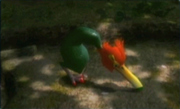 270px-75pileatedsnagret