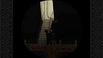 Domino Hurley boards Lumbargo