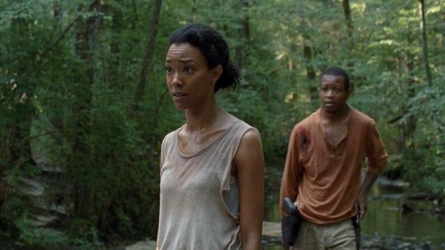 Archivo:Twd0410-1140.jpg