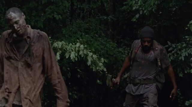 Archivo:TWD-2607.jpg