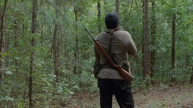 Archivo:TWD-0507.jpg
