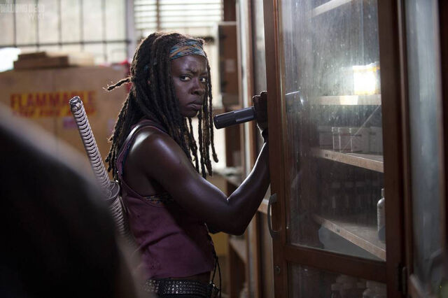 Archivo:Walking-Dead-4-05-031.jpg