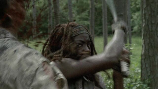 Archivo:TWD 1464.jpg