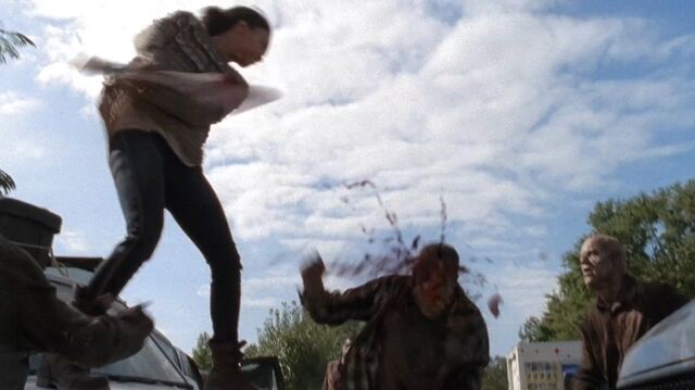 Archivo:TWD-1882.jpg