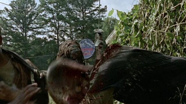 Archivo:TWD 0440.jpg