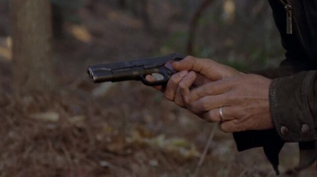 Archivo:TWD 1252.jpg