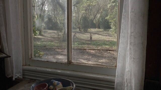 Archivo:Twd0414-0047.jpg