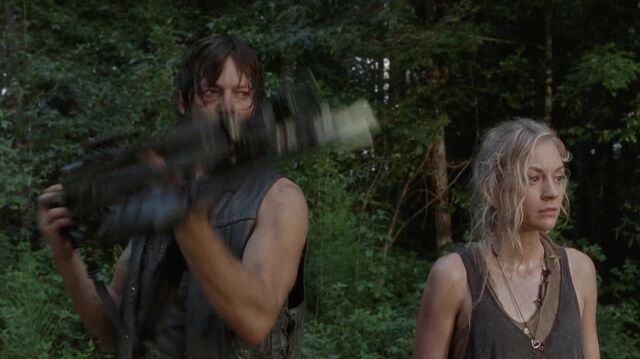 Archivo:TWD 0391.jpg