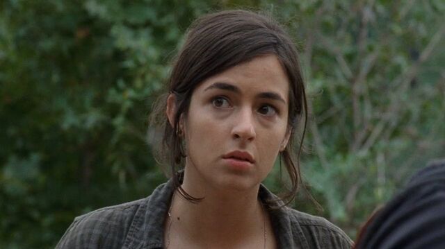 Archivo:Twd0411-1380.jpg