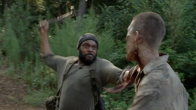 Archivo:TWD-0799.jpg