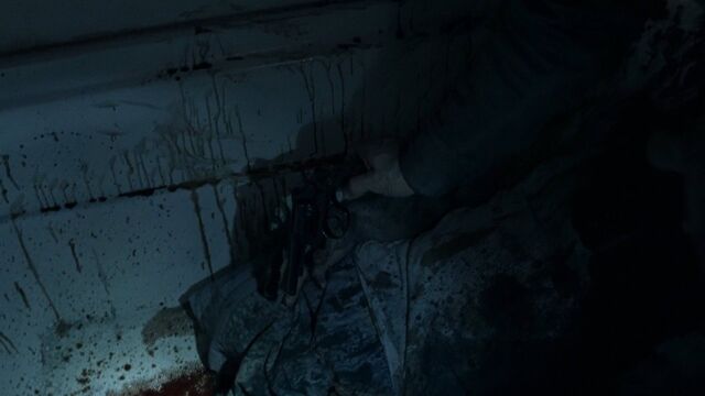 Archivo:TWD-0788.jpg