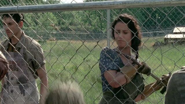 Archivo:TWD 0252.jpg