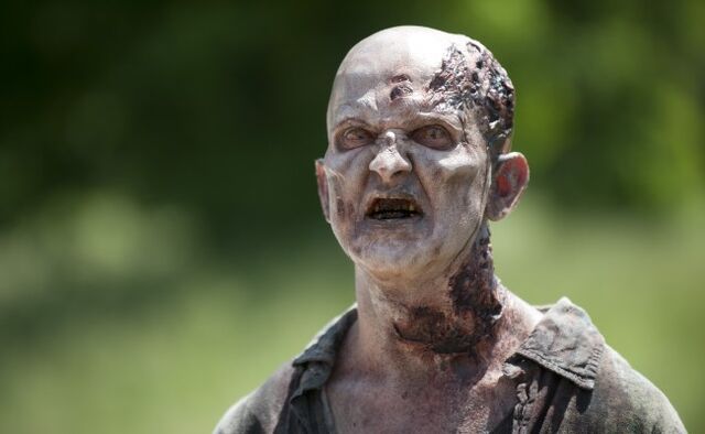 Archivo:TWD 402 GP 0523 0088-650x400.jpg