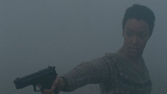 Archivo:TWD-0317.jpg