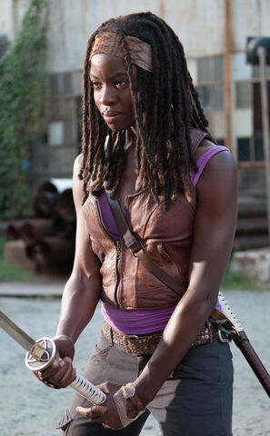 Datei:Michonne 305.jpg