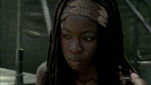 Datei:Michonne 304.jpg