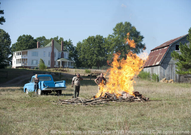 Datei:Leichen Verbrennung.jpg