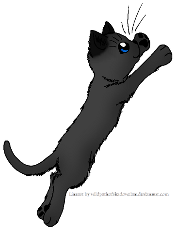 File:Graysky.warrior.png