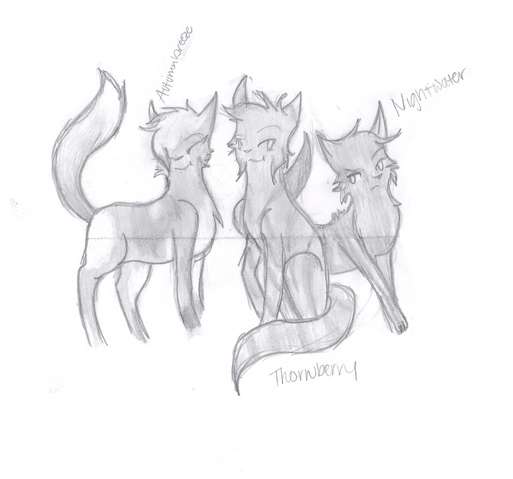 File:Kitttty.png