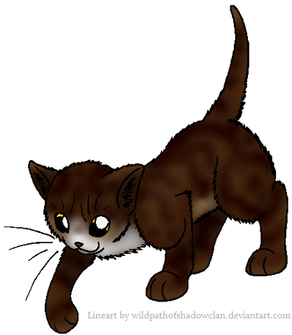 File:Asds.png