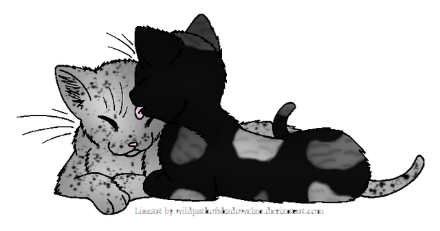 File:Nightfang and Moongaze.mates.png