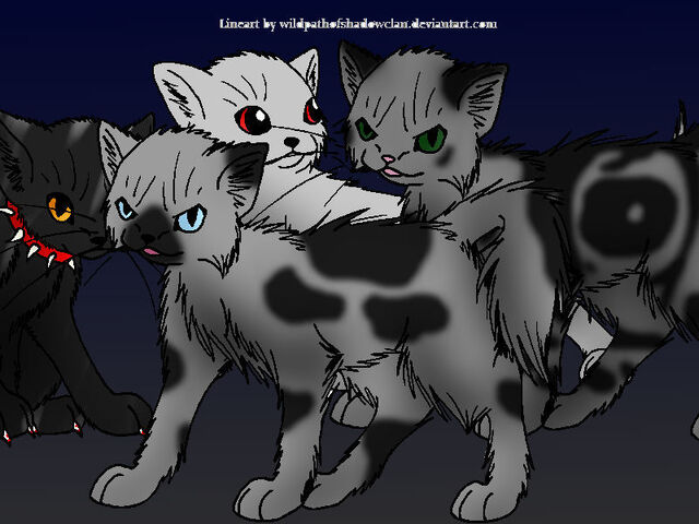File:Shadow cats.jpg
