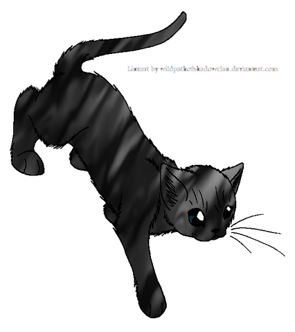 File:Mountainbird.elder.png