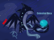 OrcaBetaVersion