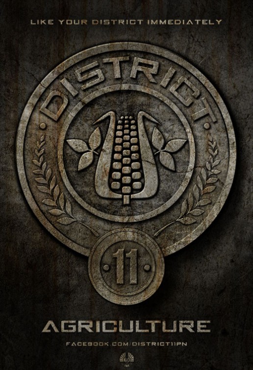 District11