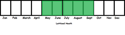 Latticed Heath TL