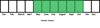 Common Carpet TL