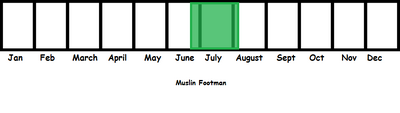 Muslin Footman TL