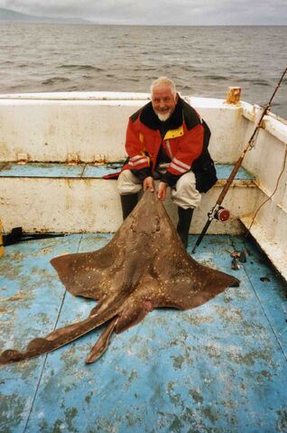 File:107 male skate.jpg