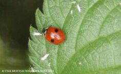 2spot
