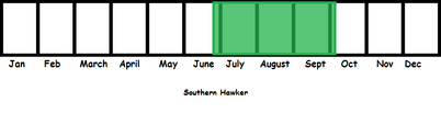 Southern Hawker TL