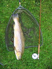 From Lowland lake